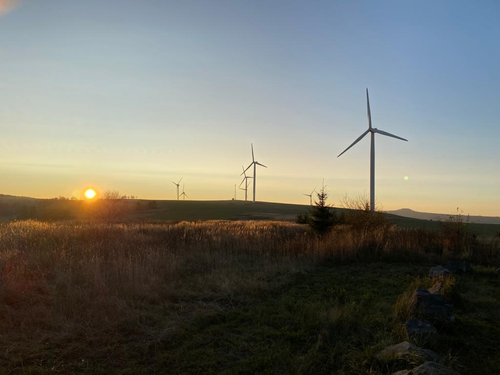 Politika kvality, politiky ochrany a&nbsp;zlepšování životního prostředí